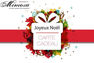 CARTE-CADEAU POUR NOËL